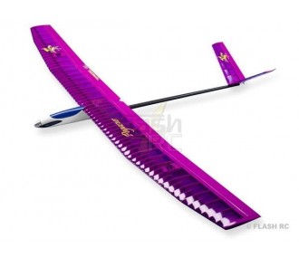Pegasus V ca.2.00m viola ARF TOPModeL CZ