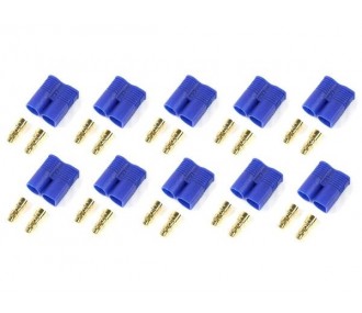 Conector EC3 macho (x10)
