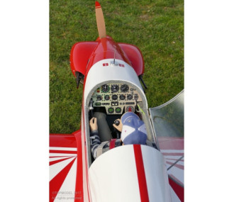 Fournier RF-4 aprox. 5,63m ARF ECOTOP