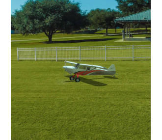 RealFlight Evolution simulator (software only)