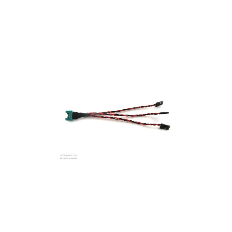 CABLE JETI MPX/3xJR