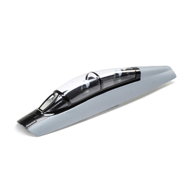 Toldo: F-14 Tomcat 40mm Twin E-Flite