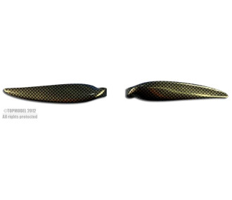 COPPIA PALI DI CARBONIO 10x8