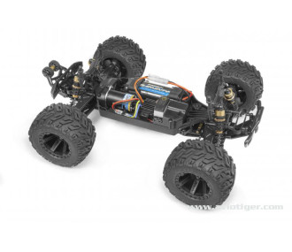 QUANTUM 4X4 XT ROSE