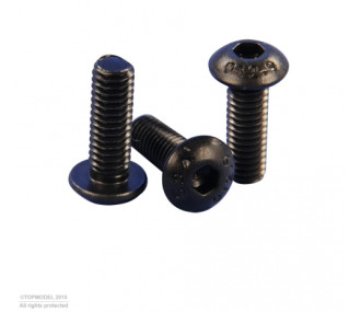 BOLT HEAD SCREW M3x8mm 10pcs