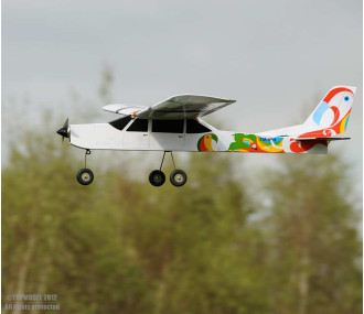 Xpower Ipanema II EP ARF circa 1,48m