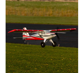 Turbo Timber Evolution 1.5m BNF Basic, with floats