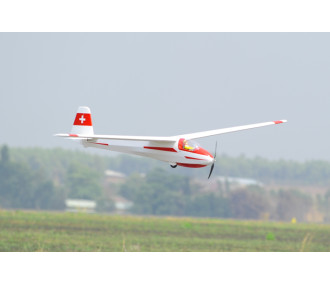 Planeur Phoenix Model KA 8B 3500 env. 3.5m