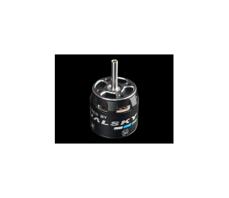 Moteur Dualsky XM2527EG-14 (37,5g, 2700KV)