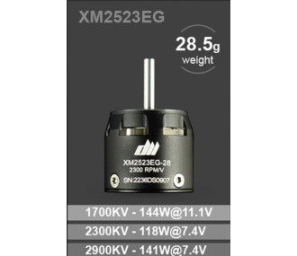 Moteur Dualsky XM2523EG-28 (28,5g, 2300KV)