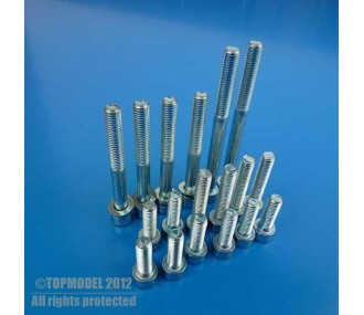 Screw set DLE20 1pc