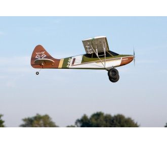 Avion Kavan Norden 1.6m PNP - Bleu