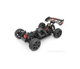 FLUSSO VORZA BUGGY