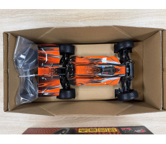 BLACKBULL 1/10 EP RTR BUGGY