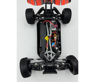 BLACKBULL 1/10 EP RTR BUGGY