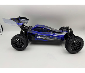 BLACKBULL 1/10 EP RTR BUGGY