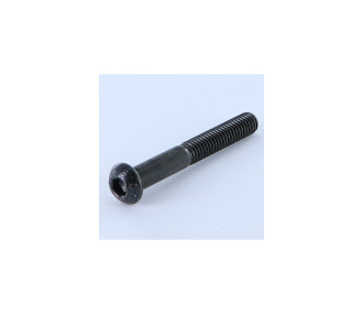 M3x30 mm SOCKET HEAD 6-POLE SCREW