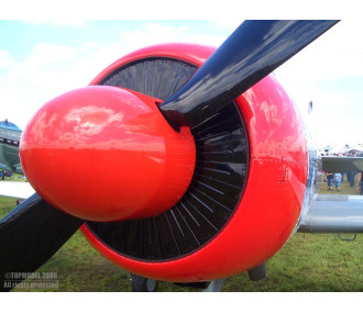 FACTICE-DIAPHRAGMEN Ø260mm