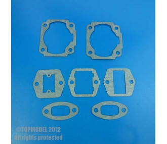 DLE60 Dichtungssatz das Set