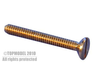 MESSINGSCHRAUBE TF M1x10 10St.
