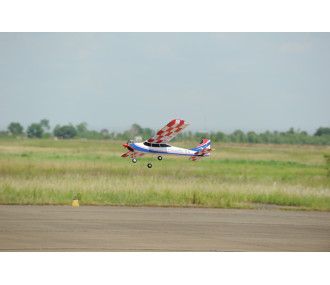 Avion Phoenix Model Classic .61-.91/15cc ARF 1.73m