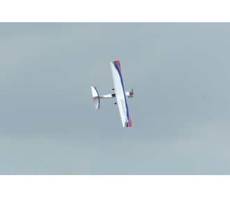 Avion Phoenix Model Classic .61-.91/15cc ARF 1.73m