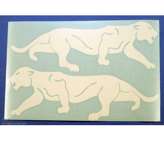 WHITE "LEOPARD DE BORNEO" SQUADRON BADGE SET