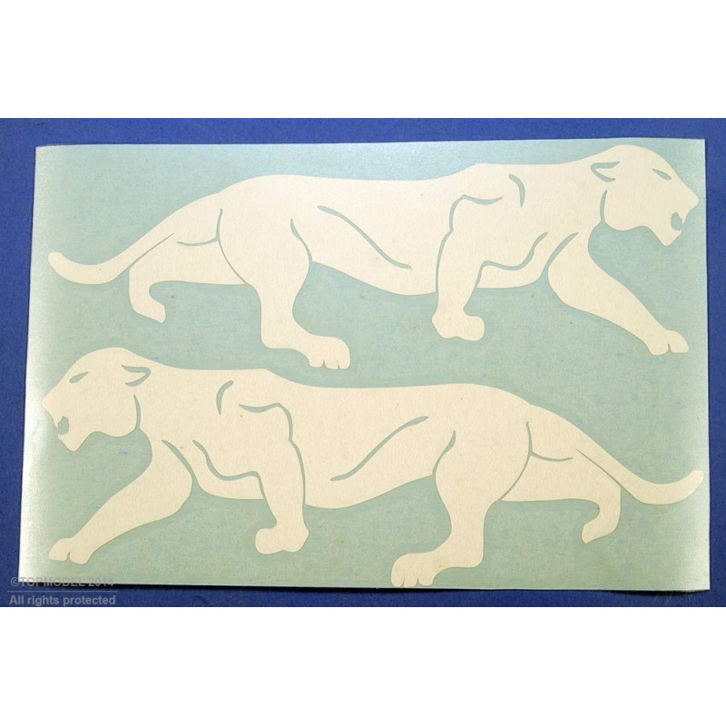 WHITE "LEOPARD DE BORNEO" SQUADRON BADGE SET