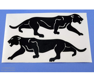 JEU INSIGNE ESCADRILLE "LEOPARD DE BORNEO" NOIR