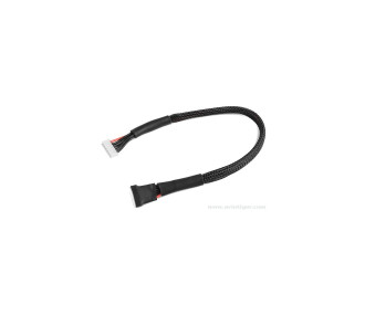 ADAPTATEUR EQUILIBRAGE 30 cm 22AWG 6S type XH en 4S EH