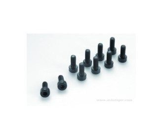 SOCKET HEAD CAP SCREW 6 PAN M6X10 STEEL S10