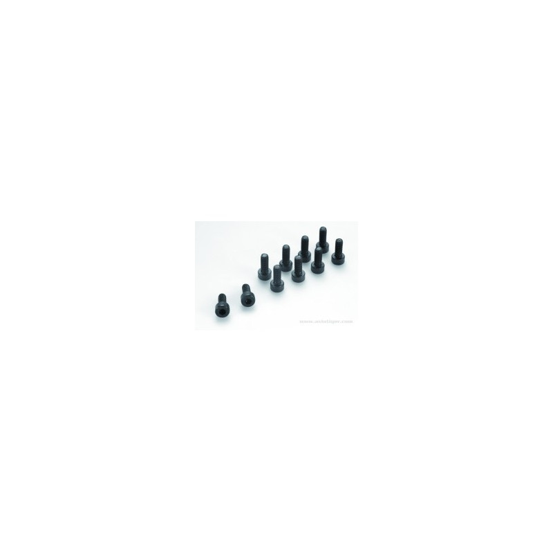 SOCKET HEAD CAP SCREW 6 PAN M6X10 STEEL S10