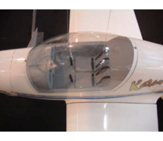 Aeronauta KATANA DV 20 aviones