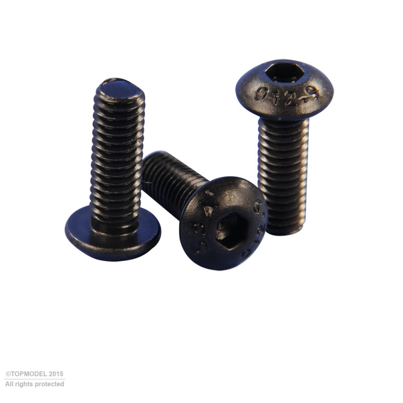 VIS Chc TETE BOMBEE M2x4mm 10pcs