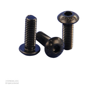 BOLT HEAD SCREW M2.5x4mm 10pcs