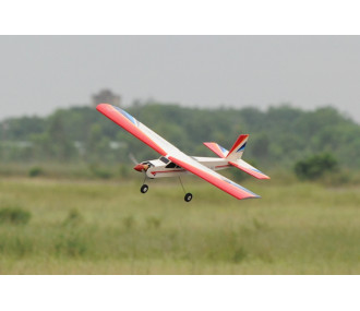 Phoenix modello Classic sport 40 circa 1,43m