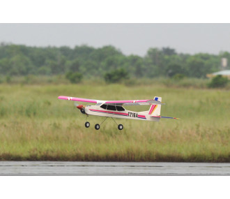 Phoenix Modelo Canary .46-55 GP/EP ARF 1.54m