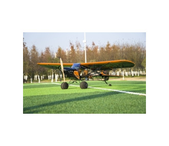 Avión DW Hobby Savage Bobber 2,33m PNP