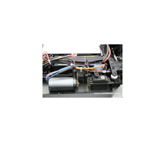 BULL TRUGGY 1/8 EP BRUSHLESS
