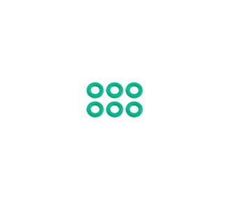 Type O ring set (M1 EVO)