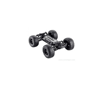GUERRIERO BLACKZON 1/12 2WD