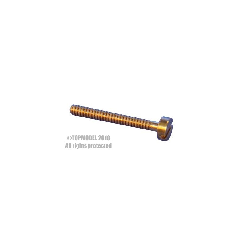 VIS LAITON TC M1.2x4 10pcs