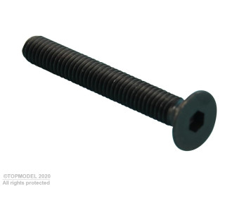 VITE 6 TESTA QUADRA M2x12 mm 10 pz.