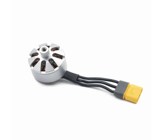 FLY WING MOTOR DE COLA FV317