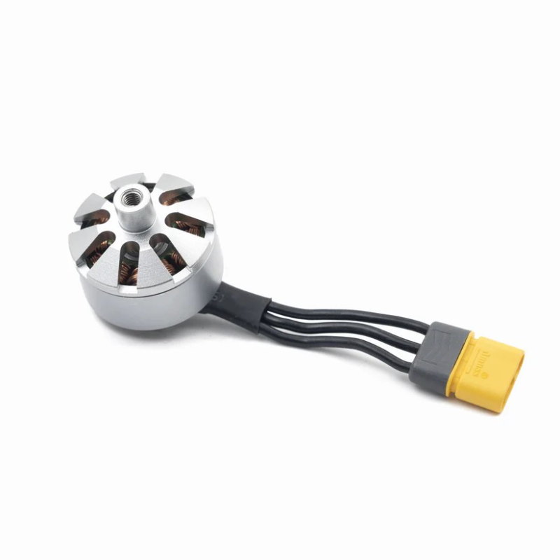 FLY WING HECKMOTOR FV317
