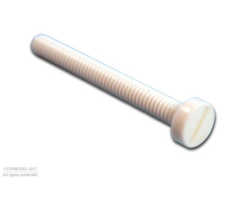 VIS NYLON M6x60 TC AVEC FENTE INTEGREE 10pcs