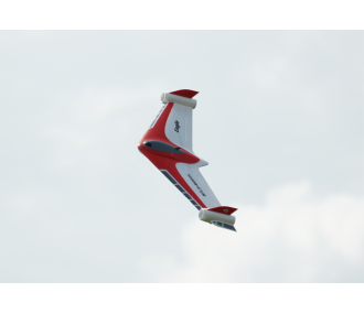 XFLY EAGLE 40mm EDF FLYING WING avec gyro - vert 