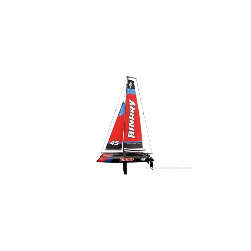 JOYSWAY BINARY RTR