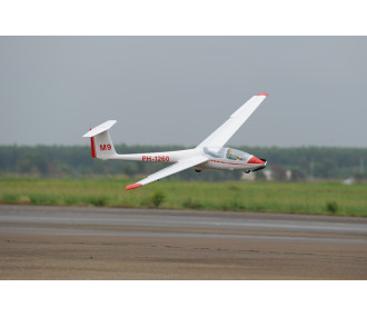 Motoaliante ASK-21 circa 3,20m ARF 1/5e Modello Phoenix