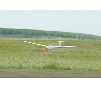 Motoaliante ASK-21 circa 3,20m ARF 1/5e Modello Phoenix